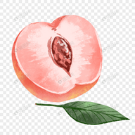 91破处视频APPAPP应用